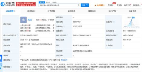 螞蟻集團在上海成立企管咨詢公司，拓展軟硬件批發業務